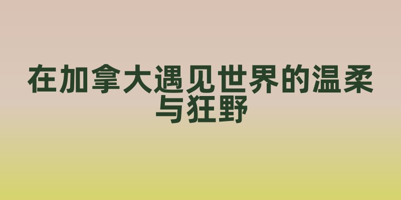 枫情万种：在加拿大遇见世界的温柔与狂野