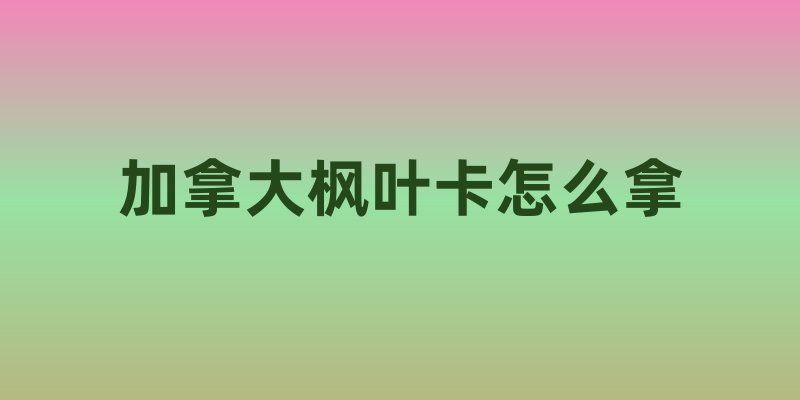加拿大枫叶卡怎么拿