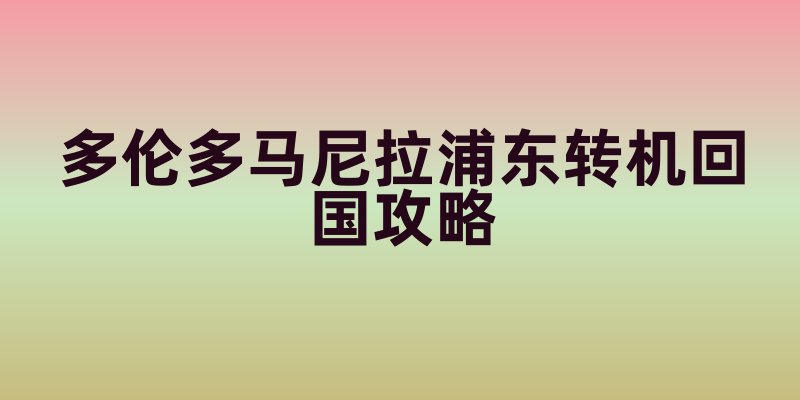 多伦多经马尼拉浦东转机回国攻略