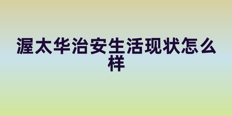 渥太华治安生活现状怎么样