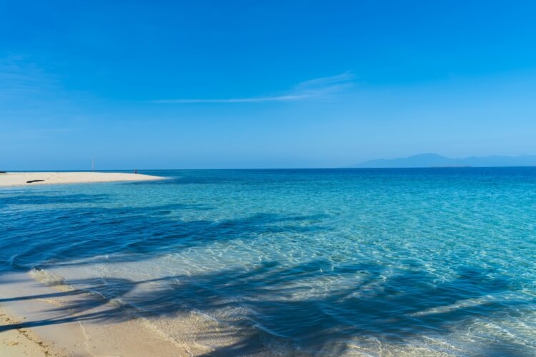 跟随四季脚步，解锁香港别样玩法